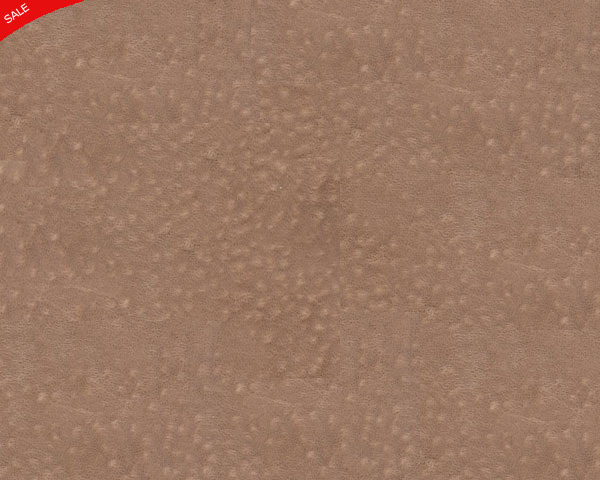 BEST-ARES-318