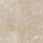 WR-RALI 02 LT BEIGE