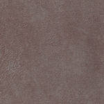 WR-RALI 08 BROWN