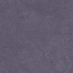WR-RALI 11 PURPLE