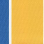 XD-61-YELLOW BLUE
