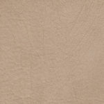 POLO 2 BEIGE